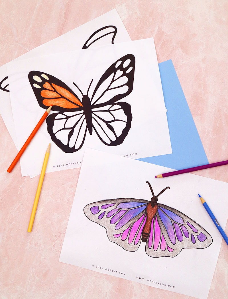 Free Printable Butterfly Coloring Pages Persia Lou