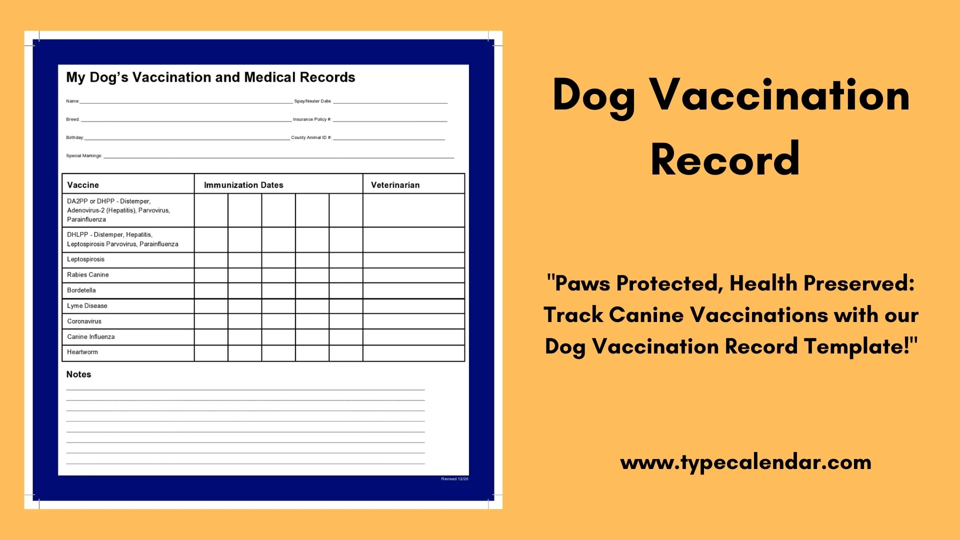 Free Printable Dog Vaccination Record Template Keep Your Pet s Health In Check