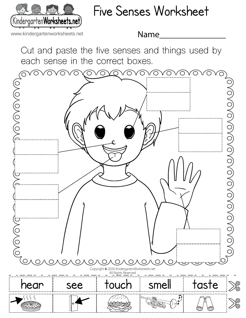 Free Printable Five Senses Worksheet