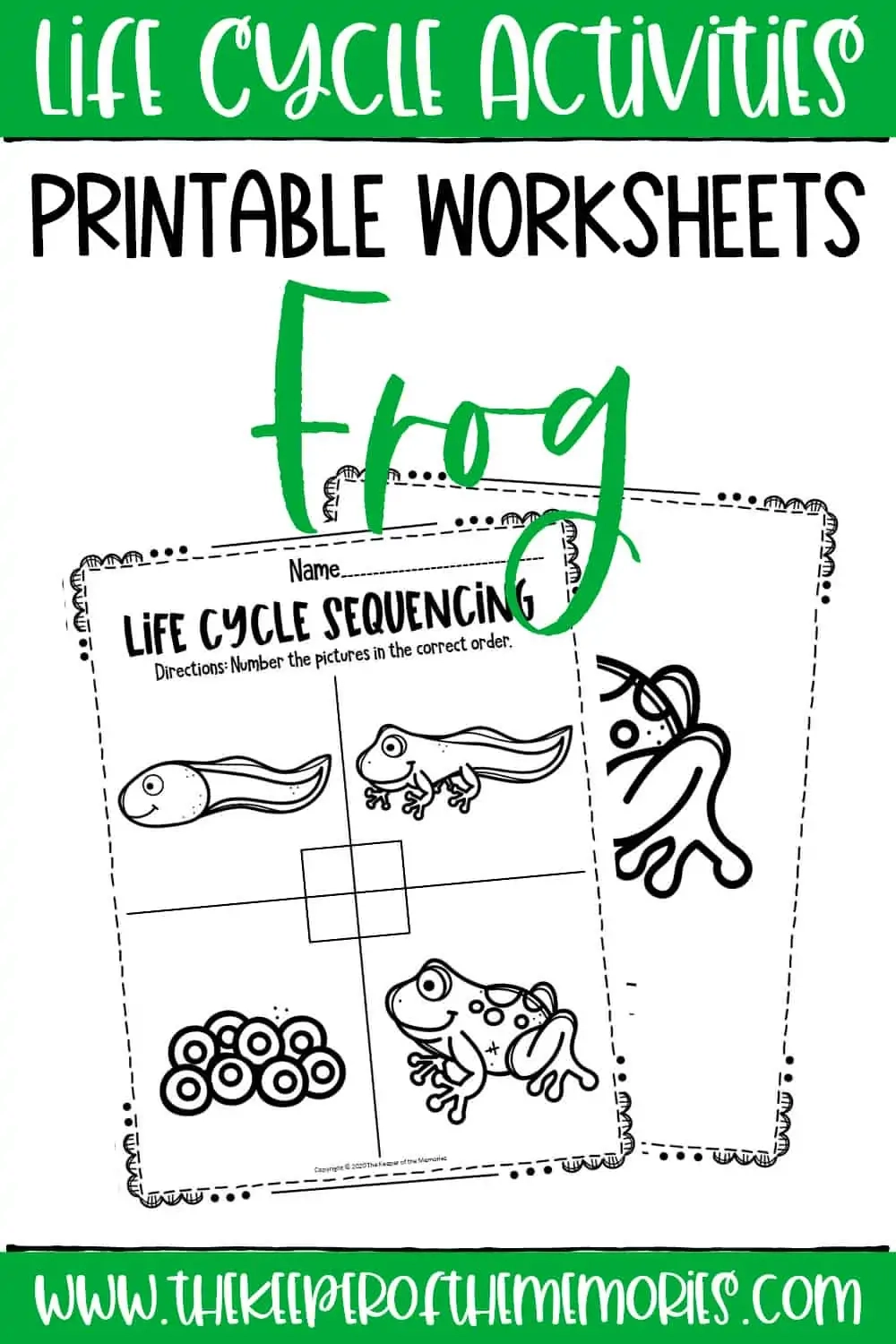 Free Printable Frog Life Cycle Worksheets The Keeper Of The Memories
