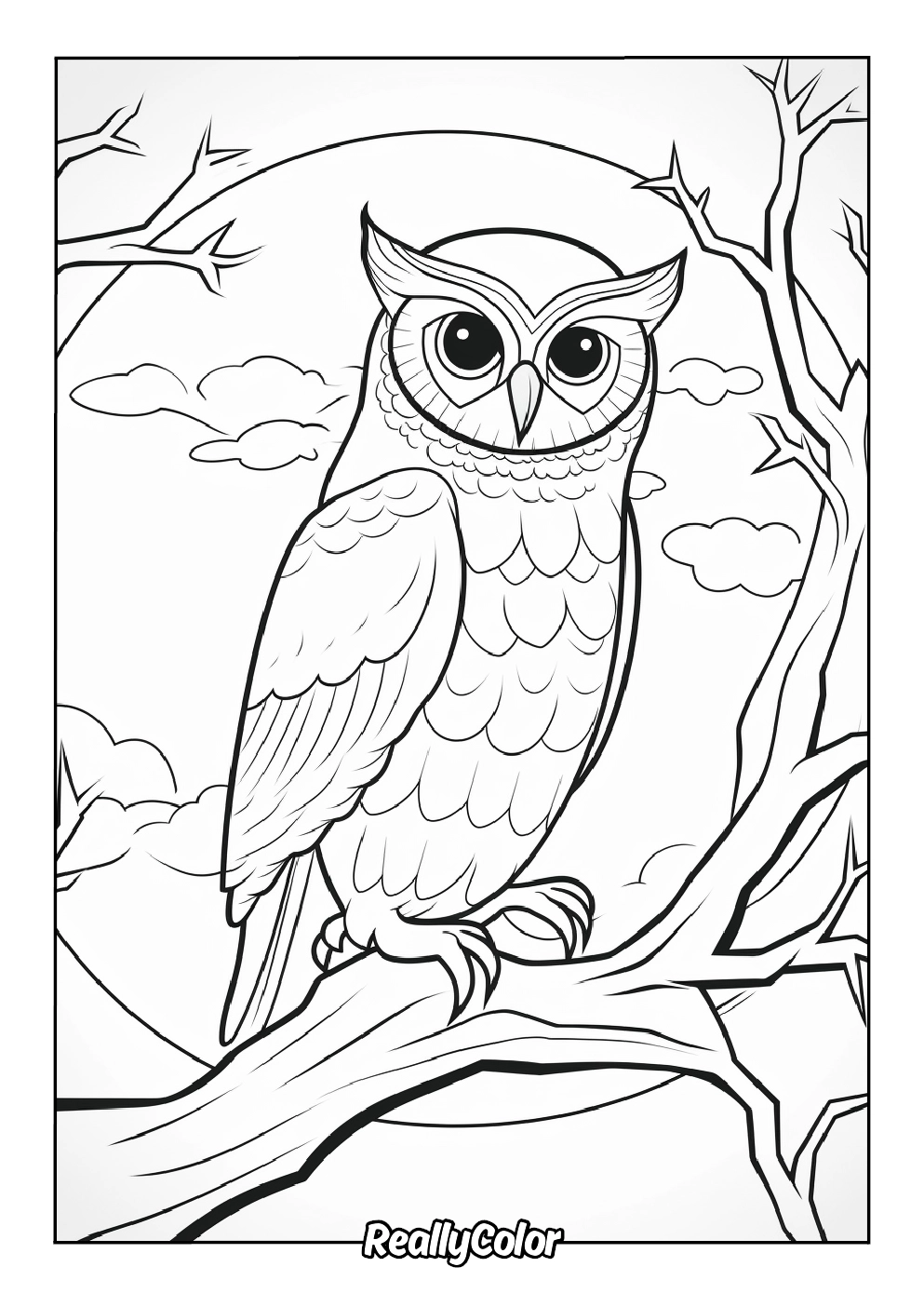 Free Printable Owl Coloring Pages