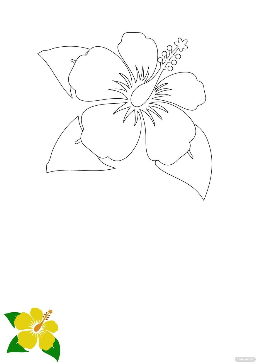 Hibiscus Flower Coloring Page In JPG PDF EPS Download Template