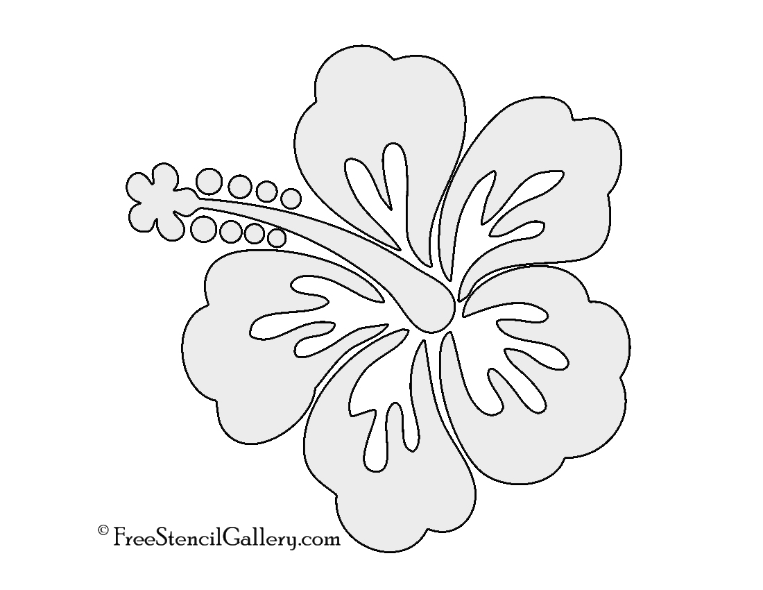 Hibiscus Flower Stencil Free Stencil Gallery Worksheets Library