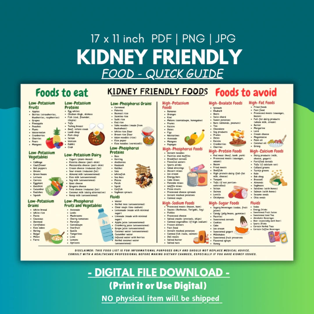 Kidney Friendly Food List Low Potassium Diet Guide printable PDF Etsy