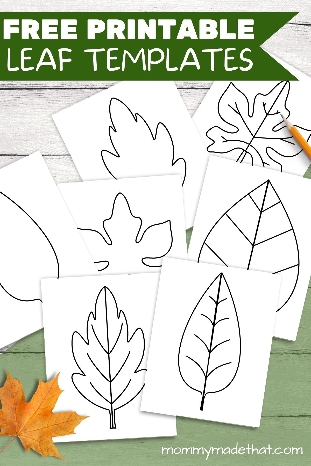 Leaf Free Printable Template Printable Leaves