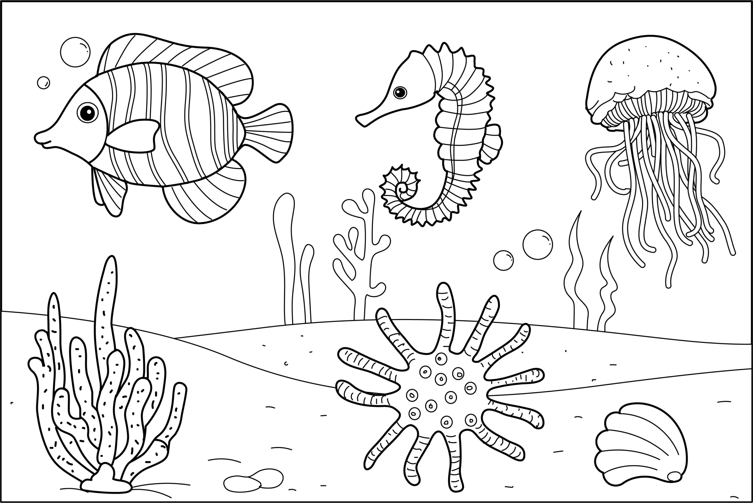 Marine Life Free Printable Coloring Page PDF