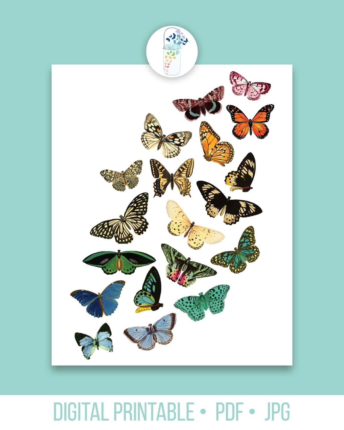 Multi Colored Butterflies Printable Art