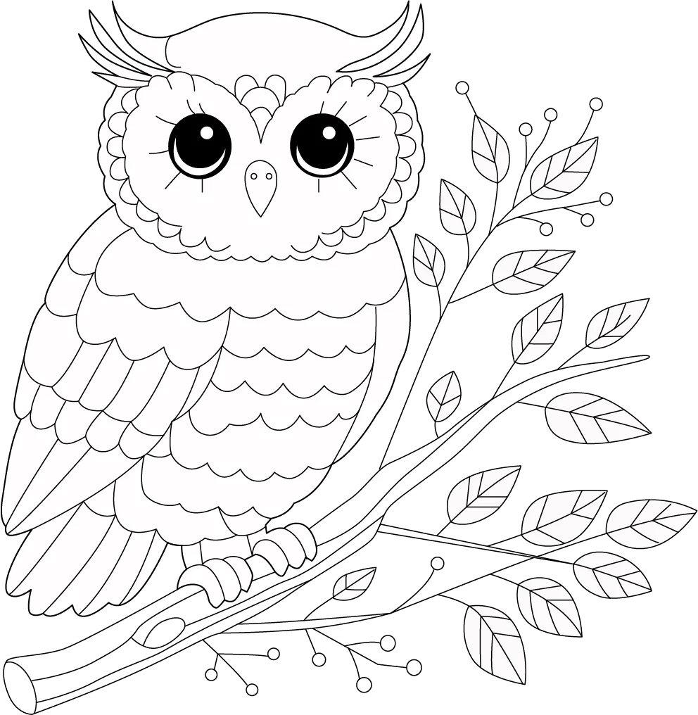 Owl Coloring Page For Children