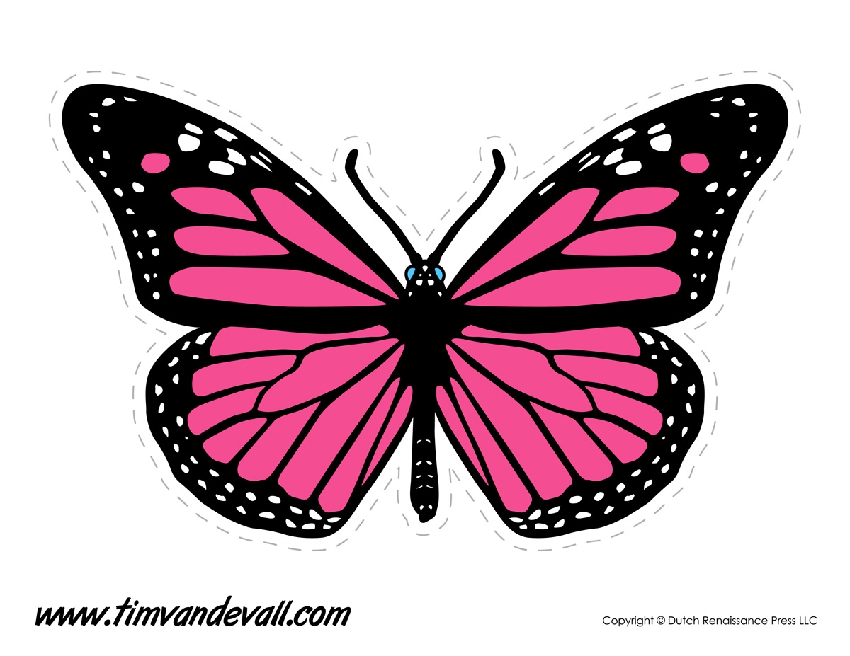 Printable Butterfly Tim s Printables