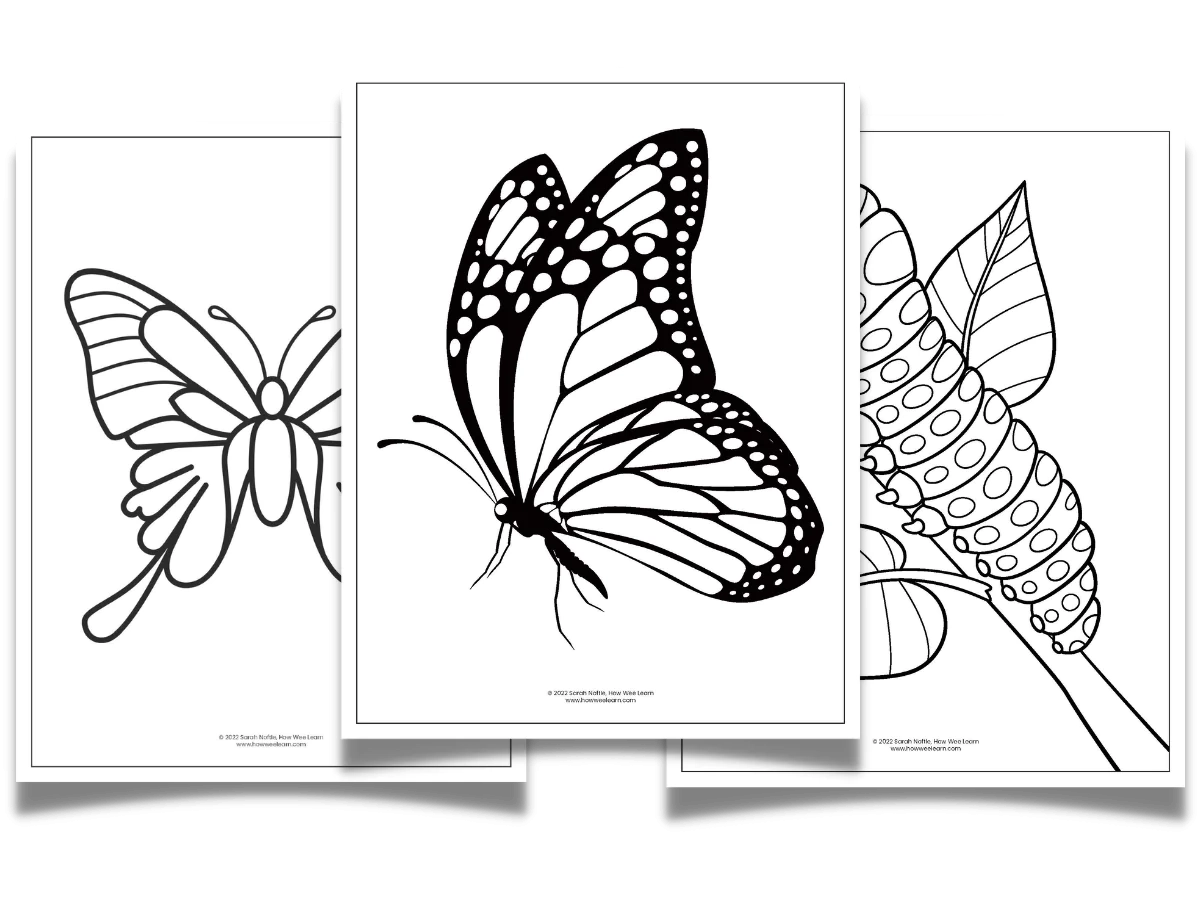 Printable Butterfly Worksheets How Wee Learn Printable Butterfly Worksheets How Wee Learn