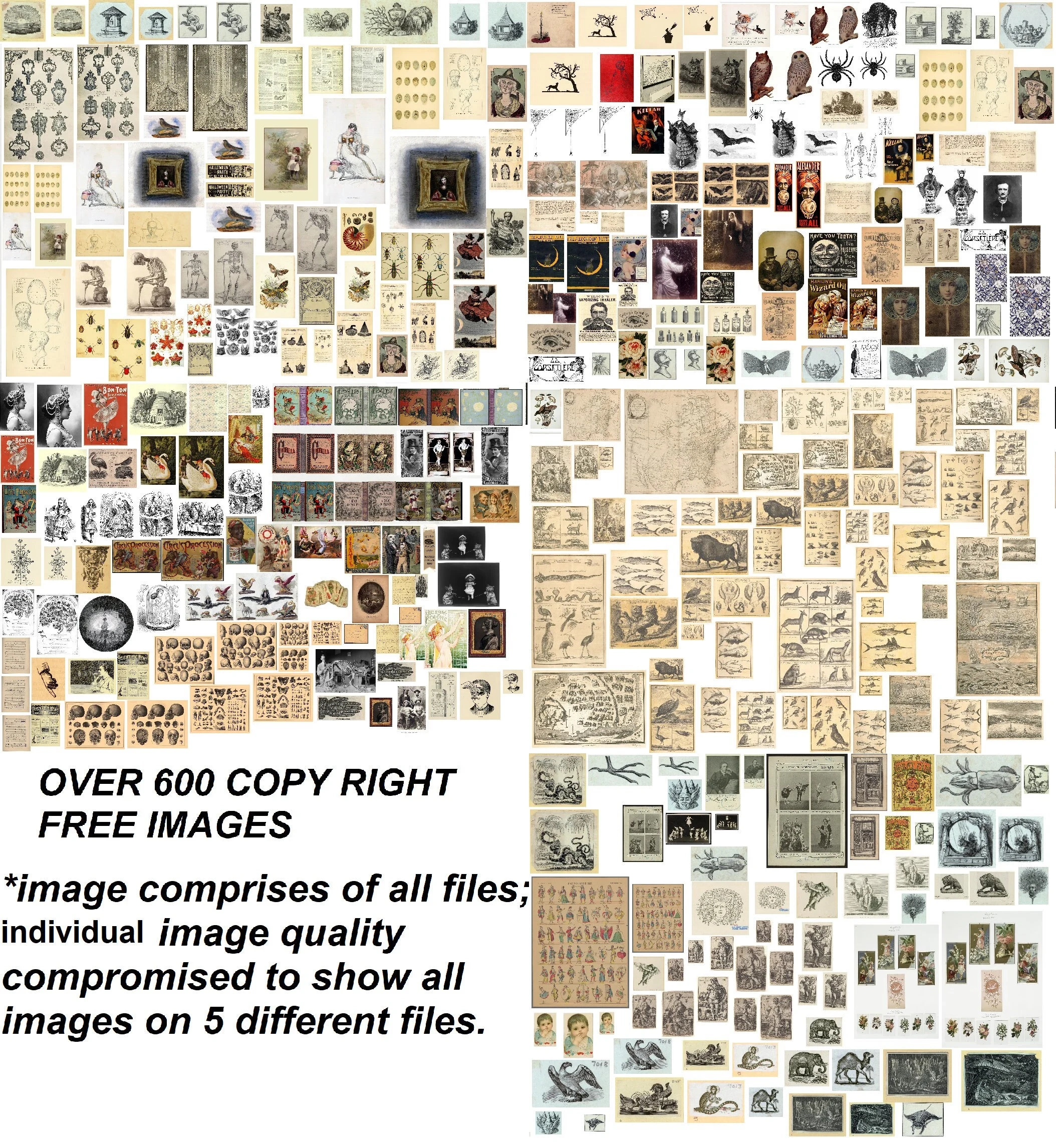 Printable Mini Pictures public Domain copy Right Free Etsy