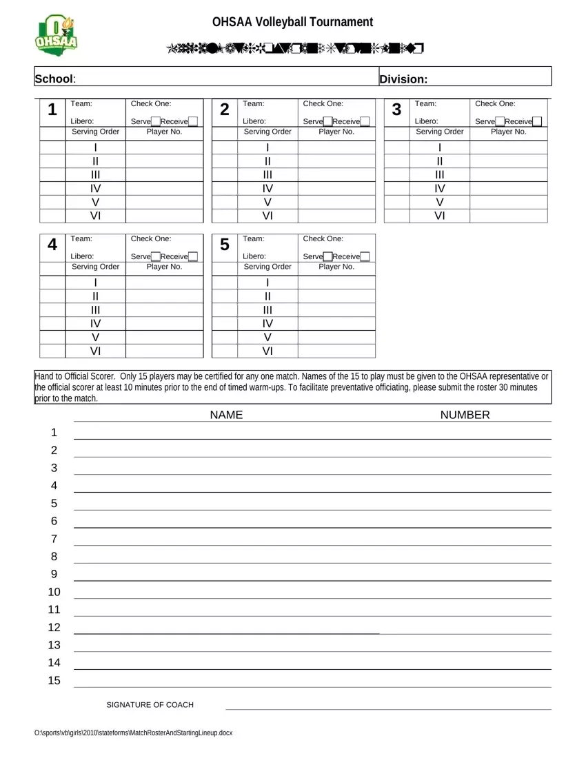 Volleyball Official Lineup Fill Out Printable PDF Forms