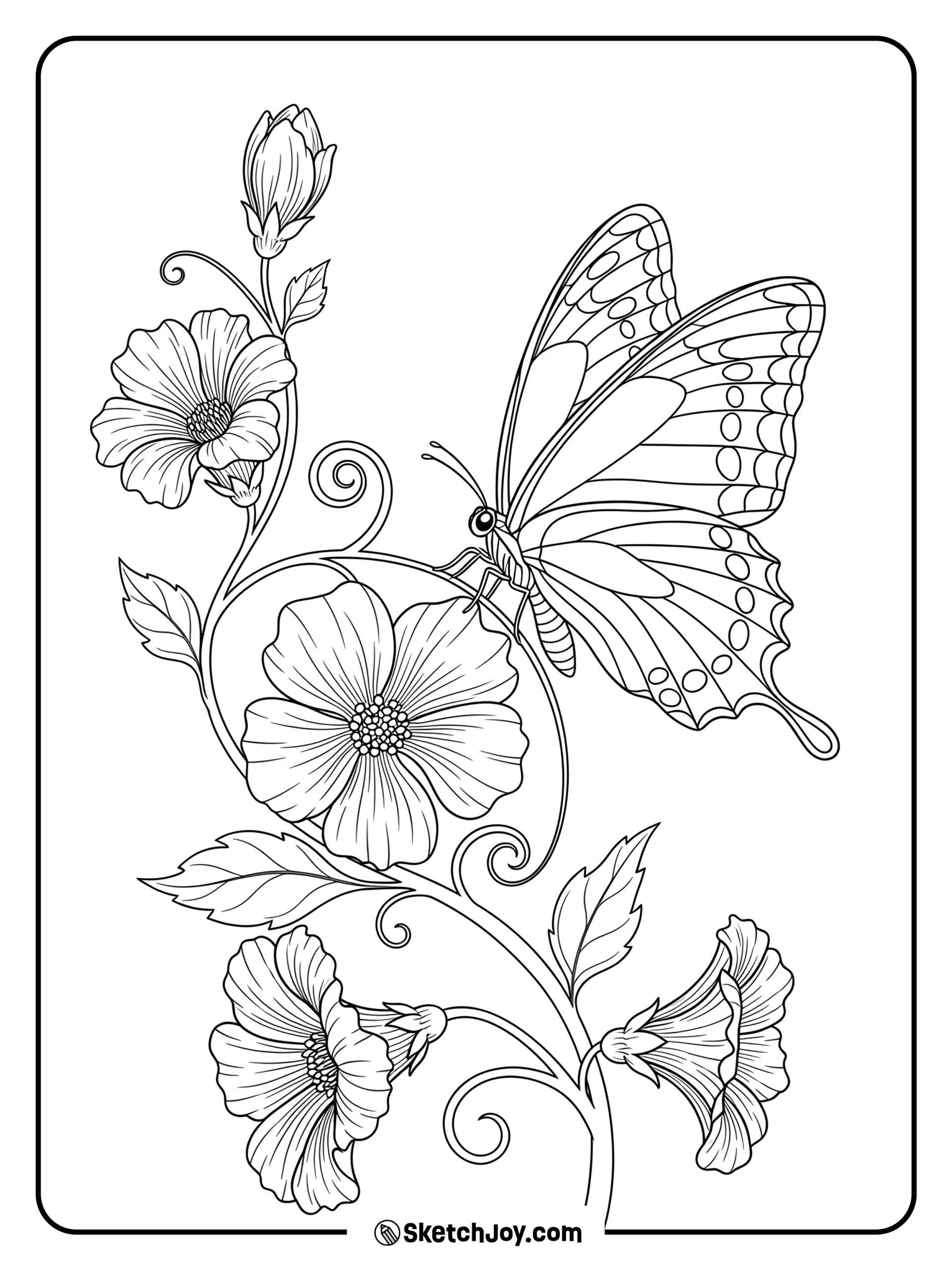 16 Butterfly Coloring Pages Free Printable PDFs 