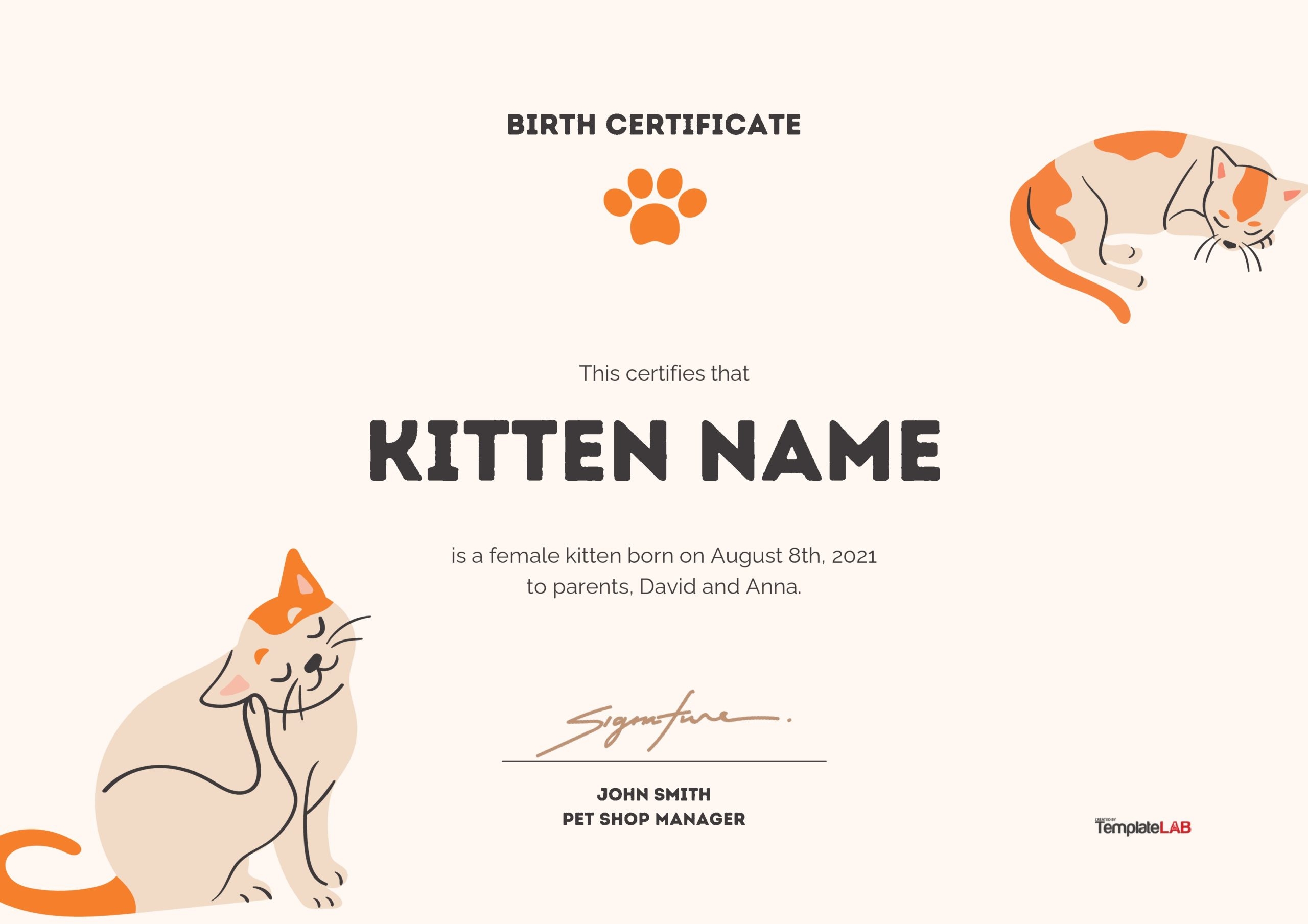 27 Birth Certificate Templates Word PPT PDF TemplateLab