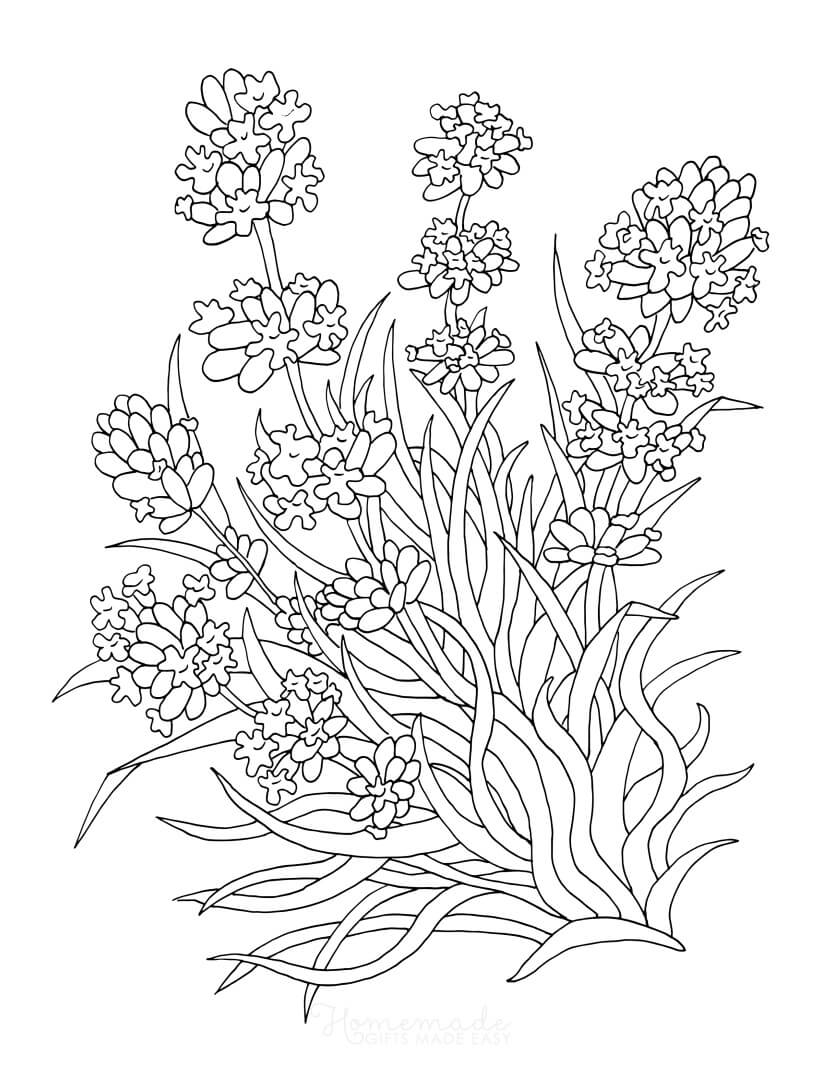 31 Printable Flower Coloring Pages For Adults Happier Human 31 Printable Flower Coloring Pages For Adults Happier Human