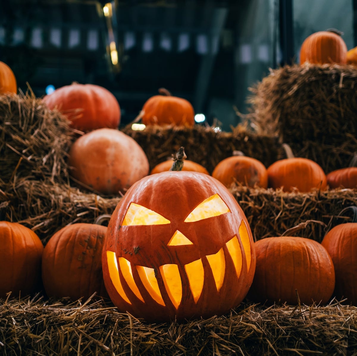60 Printable Pumpkin Carving Stencils And Free Patterns