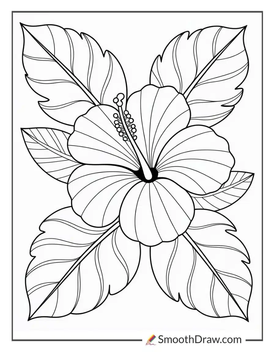 67 Flower Coloring Pages Free Printable PDFs 