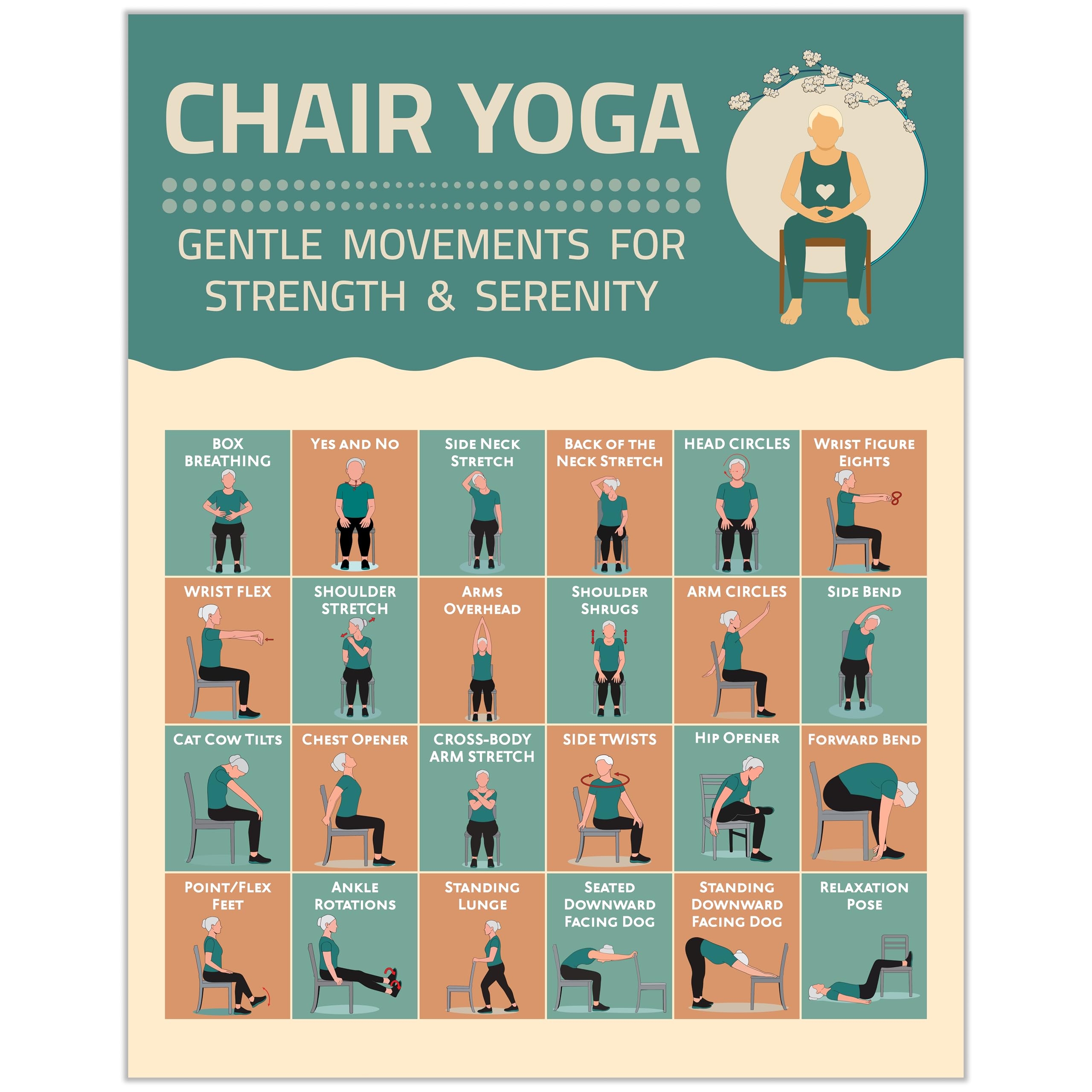 Amazon Chair Yoga Exercise Poster Illustrated Stretching Poses Chart Workouts Instructions Mobility Practice Inspirational Routine Wall Art For Seniors Home Gym Picture Meditation Decor Flexibility Sports Outdoors Amazon Chair Yoga Exercise Poster Illustrated Stretching Poses Chart Workouts Instructions Mobility Practice Inspirational Routine Wall Art For Seniors Home Gym Picture Meditation Decor Flexibility Sports Outdoors