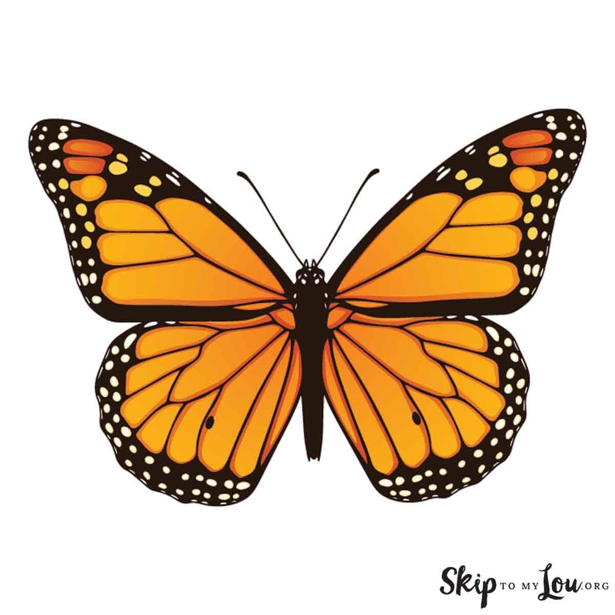 Beautiful Butterfly Coloring Pages To Download And Print Skip To My Lou