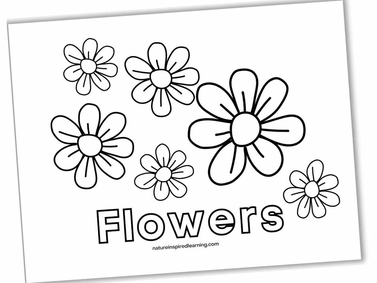 Beautiful Flower Coloring Pages Nature Inspired Learning