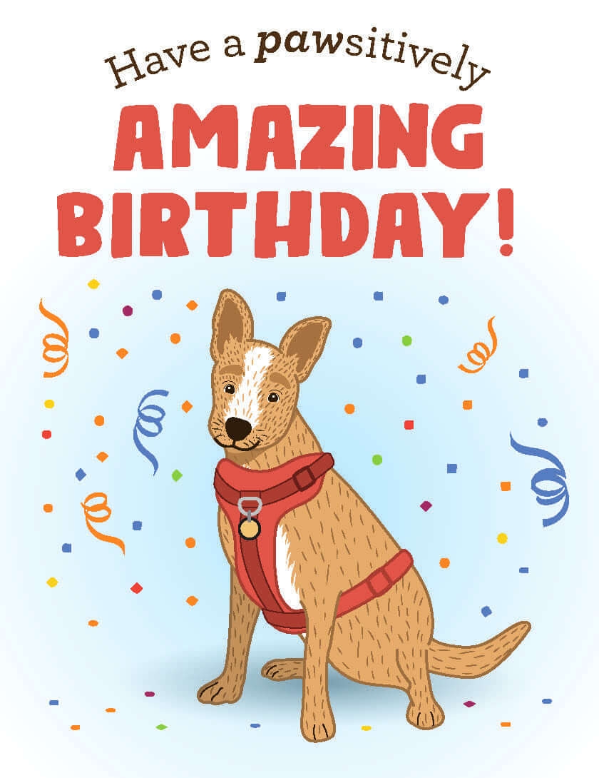 Birthday Cards For Kids PETA Kids