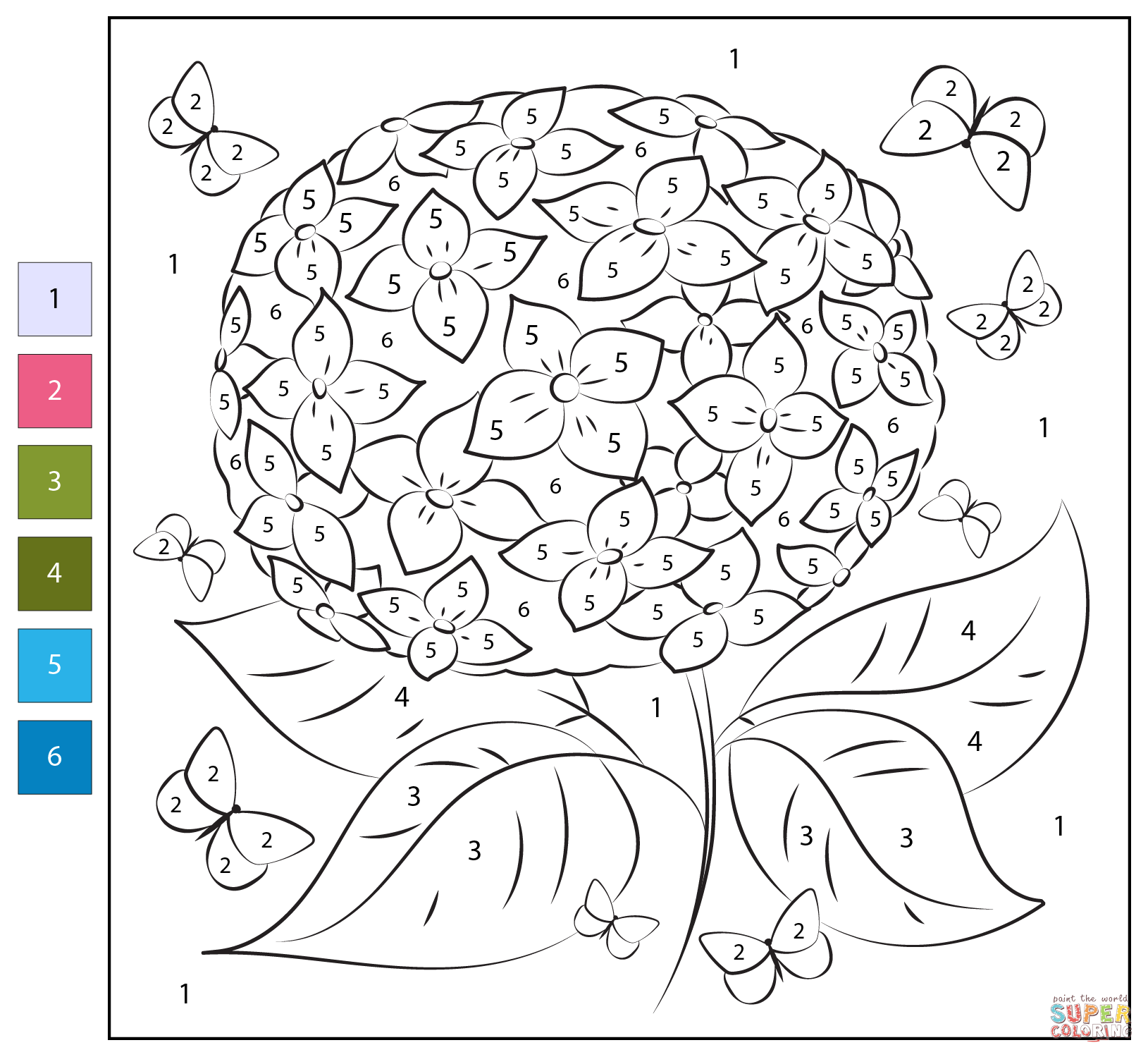 Color By Number Hydrangea Coloring Page Free Printable