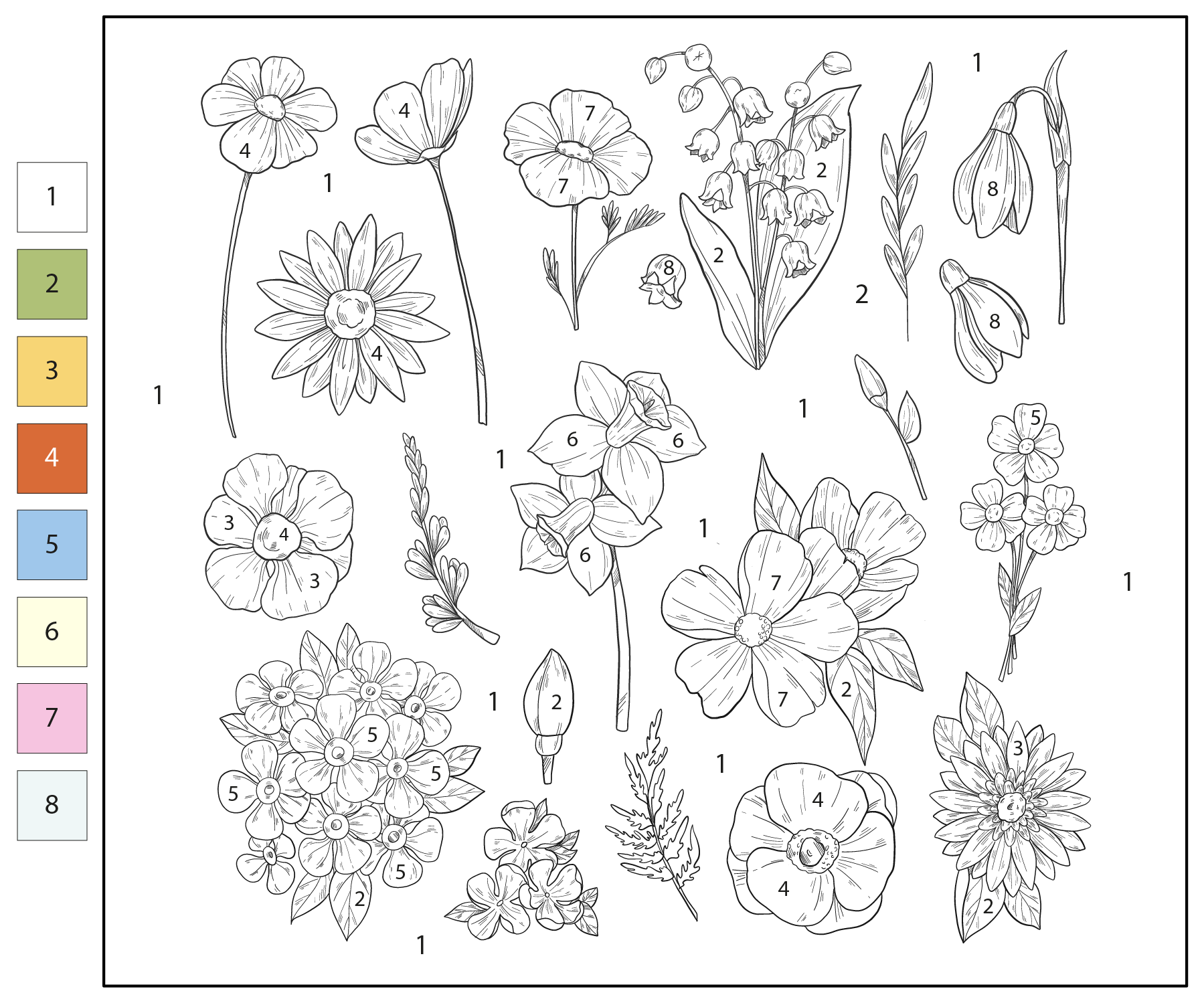 Color By Number Spring Flowers Coloring Page Free Printable