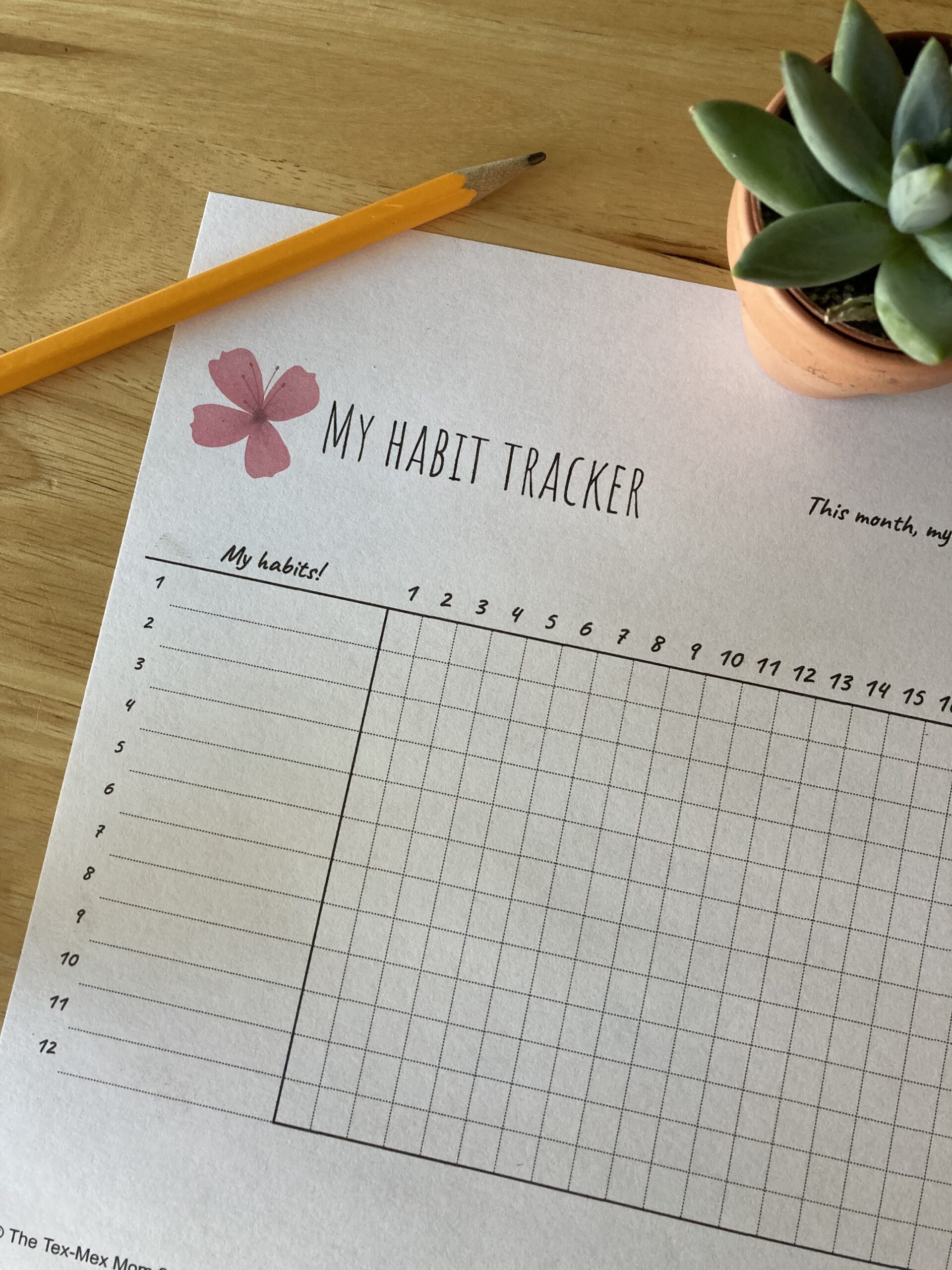Free Habit Tracker Printable and Why You Should Use One The Tex Mex Mom
