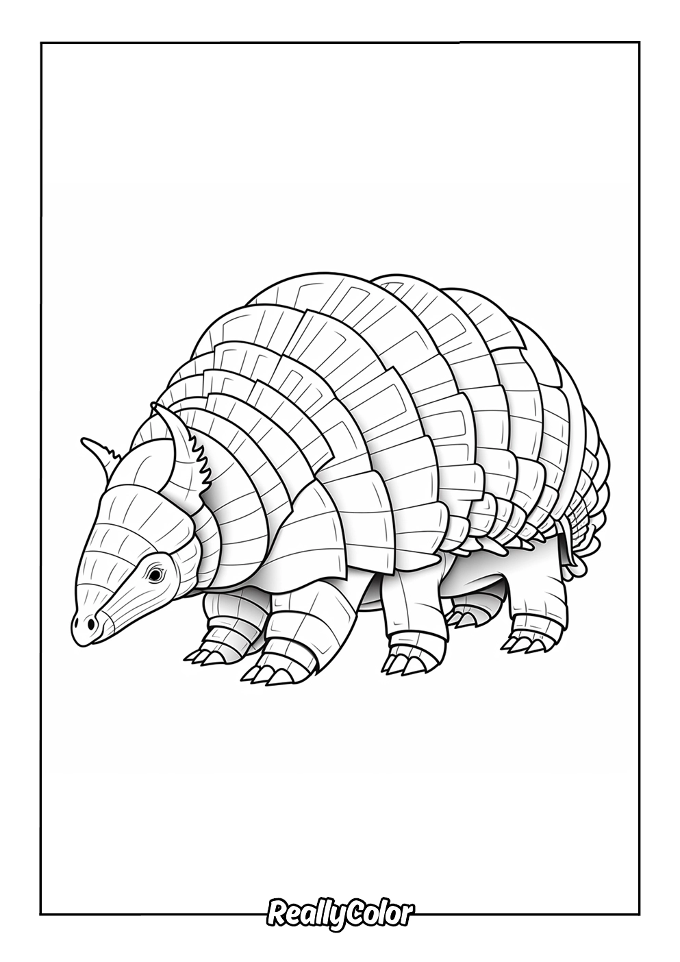 Free Printable Armadillo Coloring Pages