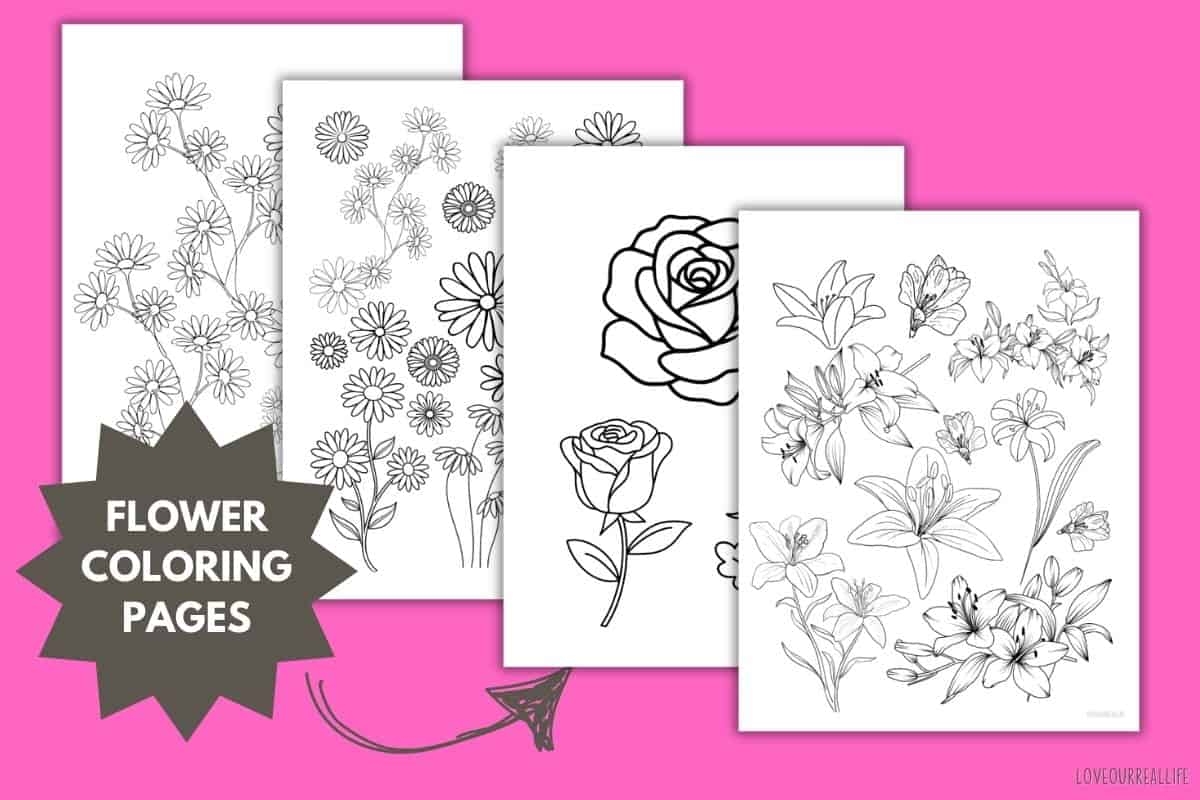 Free Printable Flower Coloring Pages Daisies Roses Lilies Love Our Real Life