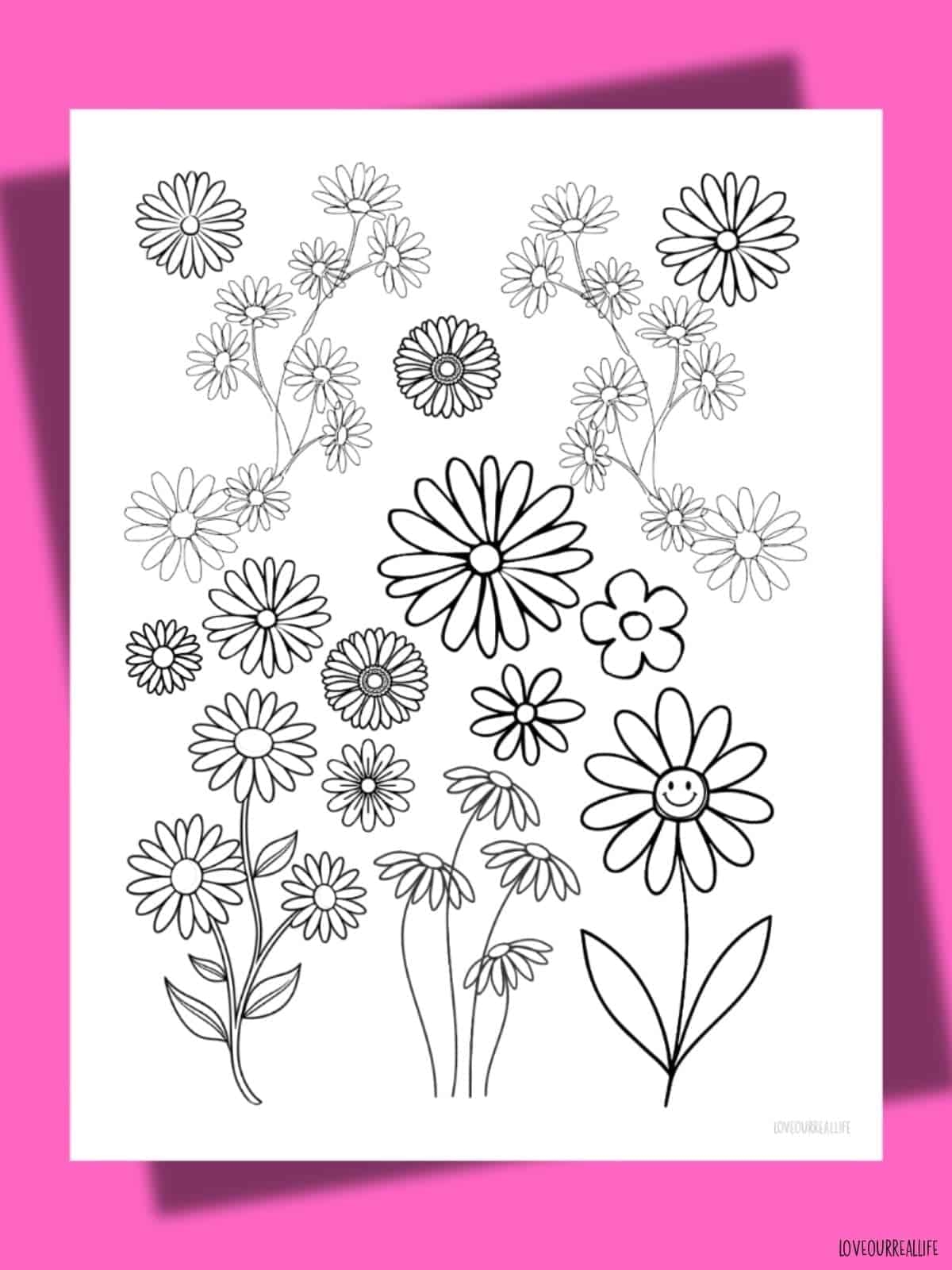 Free Printable Flower Coloring Pages Daisies Roses Lilies Love Our Real Life