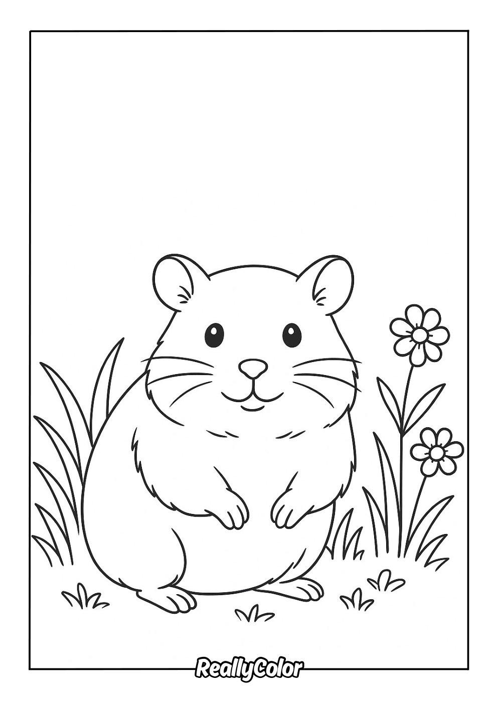 Free Printable Hamster Coloring Pages