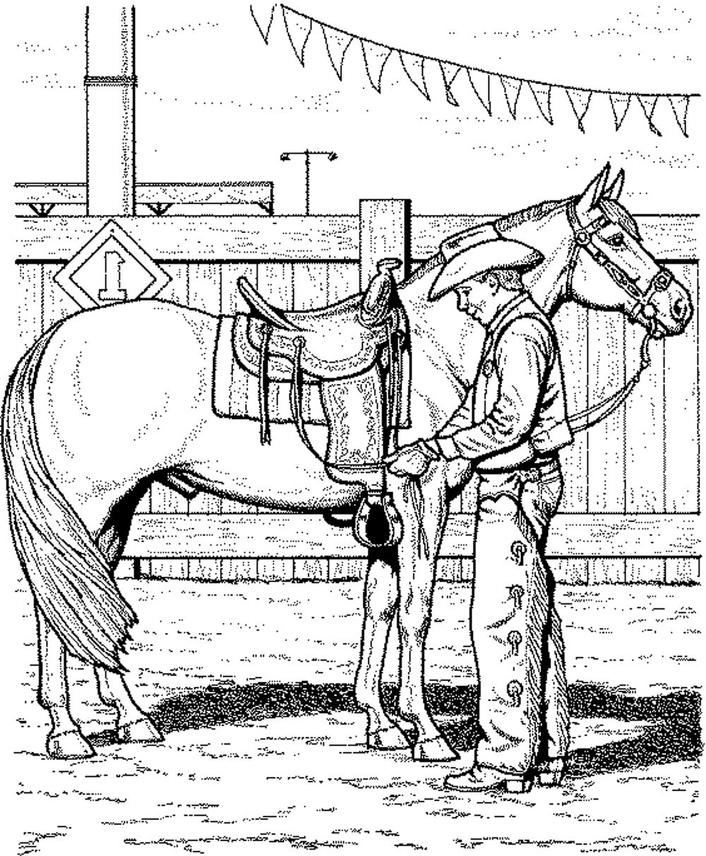 Free Printable Realistic Horse Coloring Pages 598839 Clipart Library