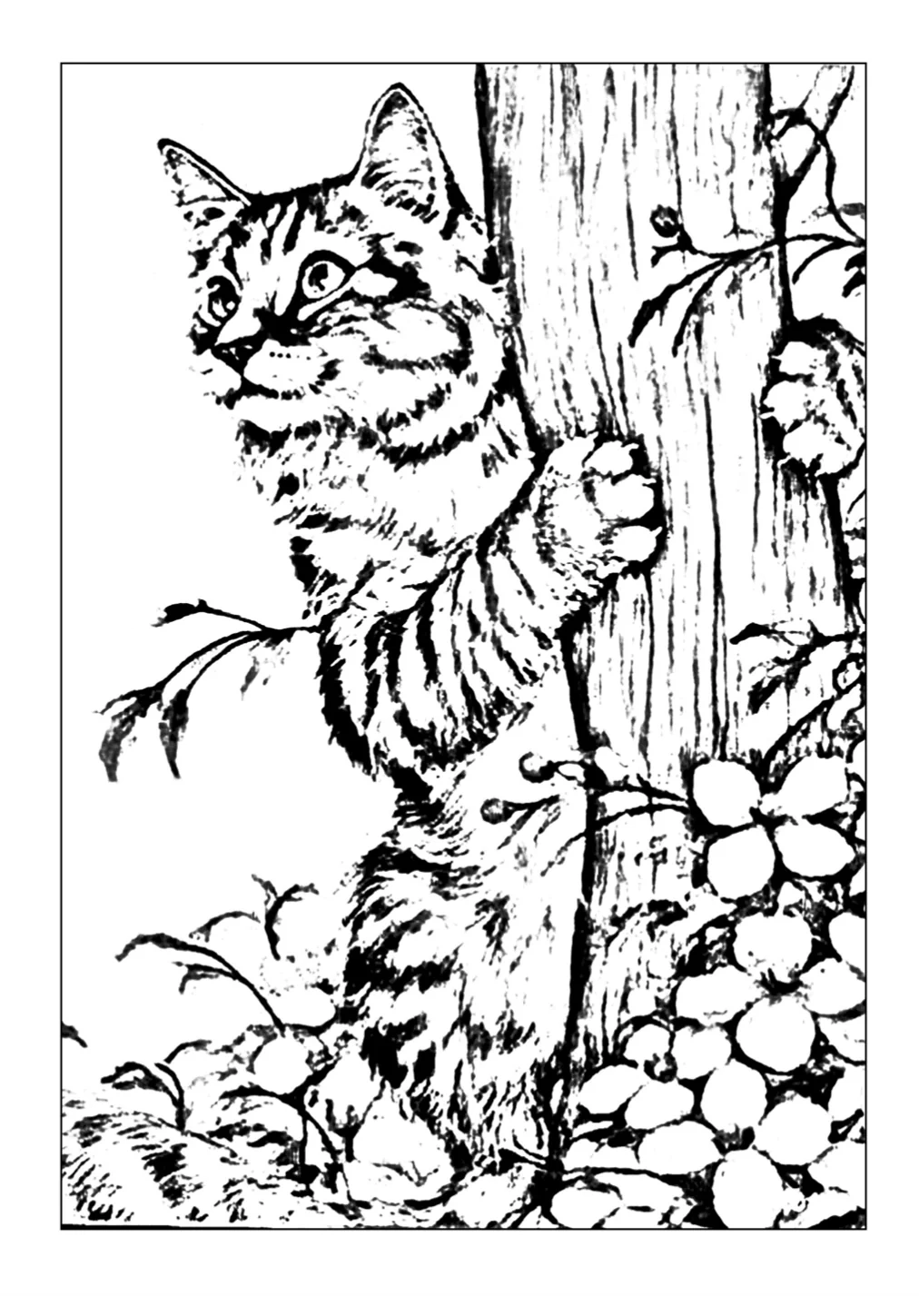 Garden Cat Coloring Page Free Download Cat Cave Co