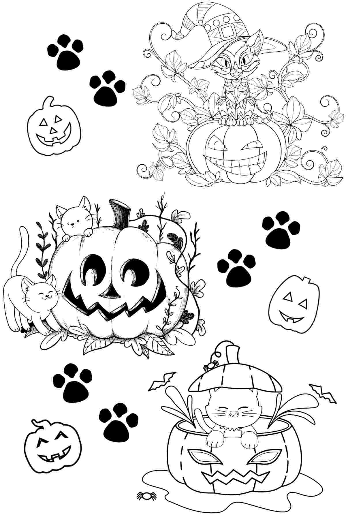 Get 13 Jack O Lantern Coloring Pages Free Halloween Printables