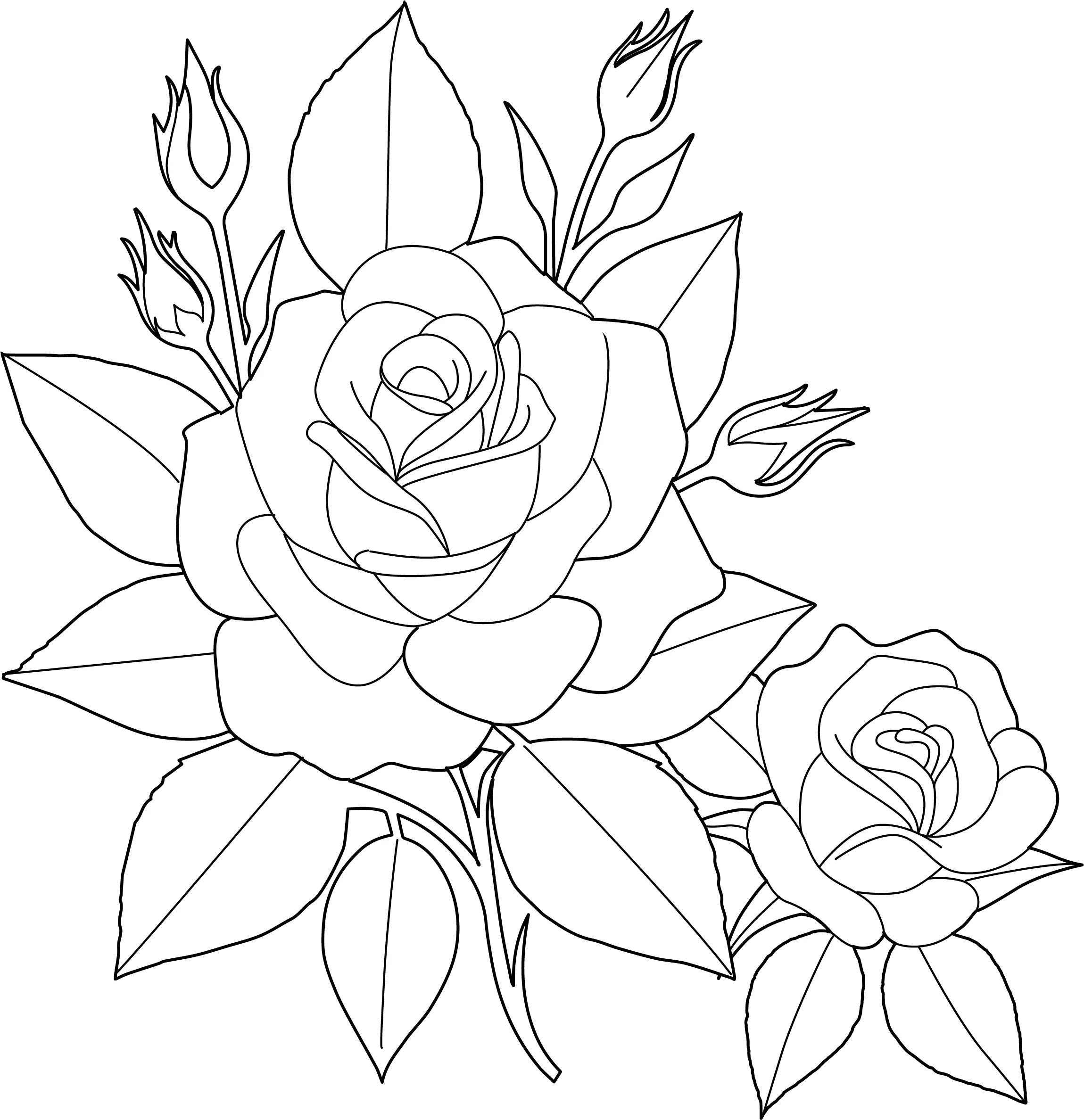 Rose Flower Coloring Page Beautiful Bloom Printable For Kids Rose Flower Coloring Page Beautiful Bloom Printable For Kids