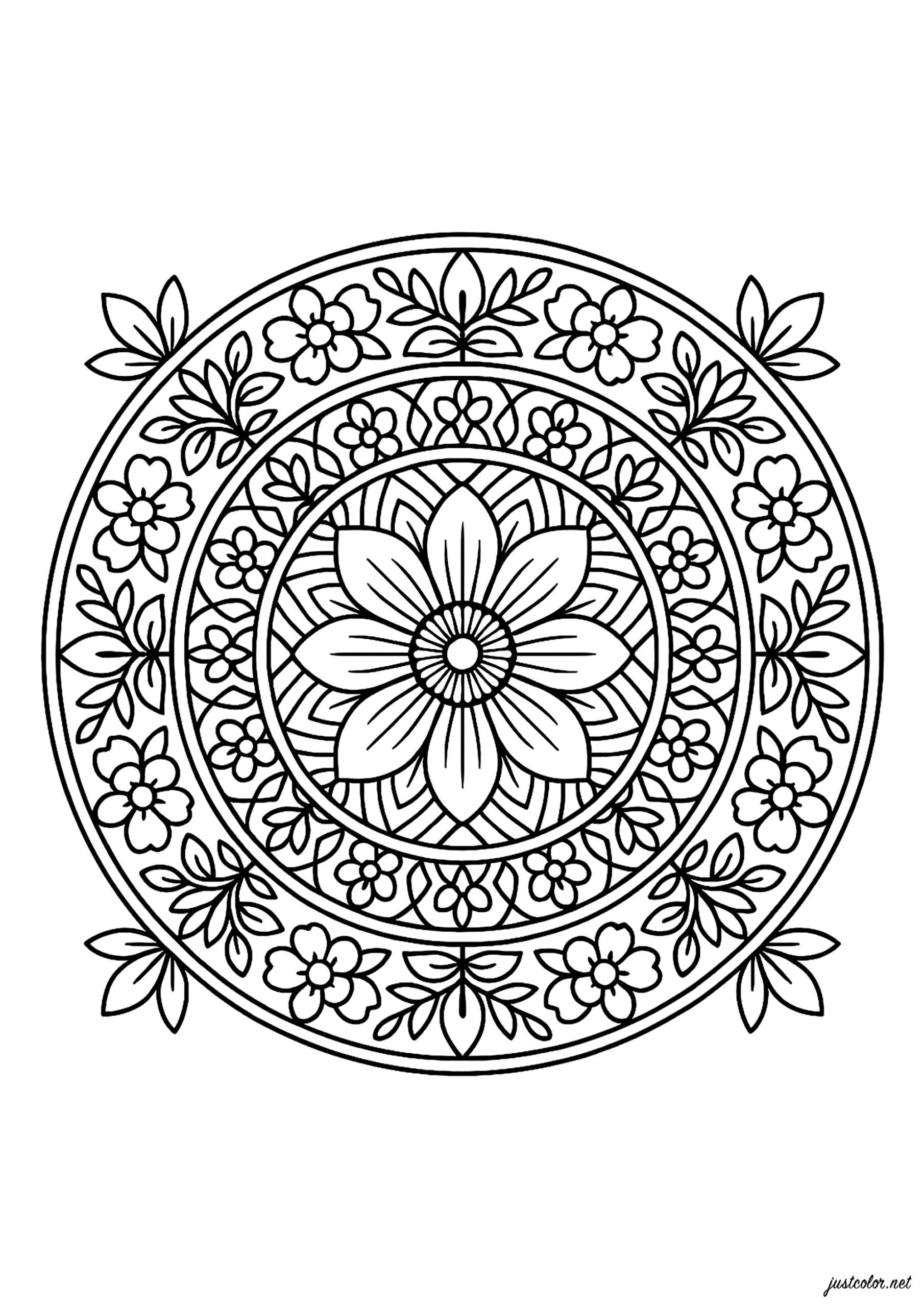 Symmetrical Floral Mandalas Mandalas Coloring Pages For Adults