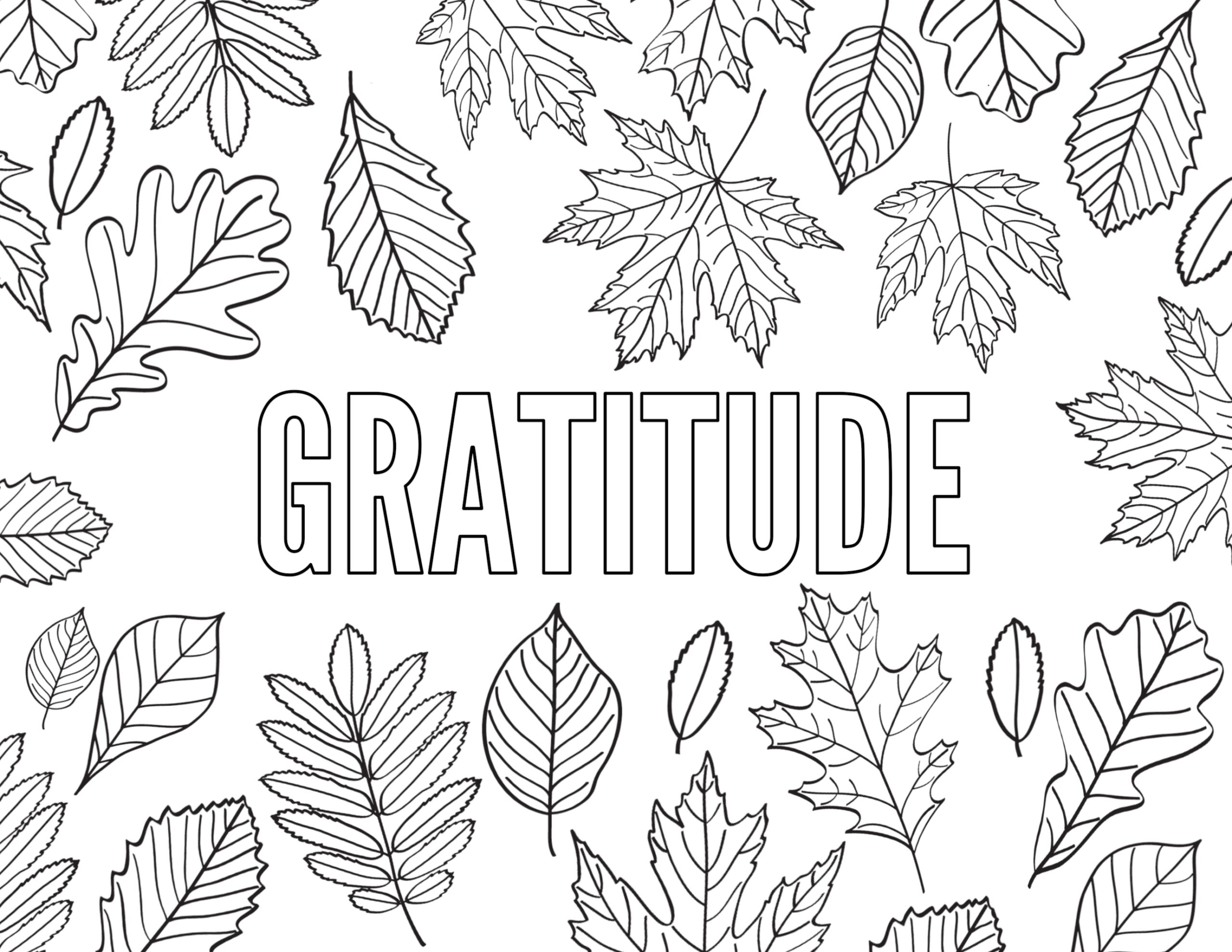 Thanksgiving Coloring Pages Free Printable Paper Trail Design